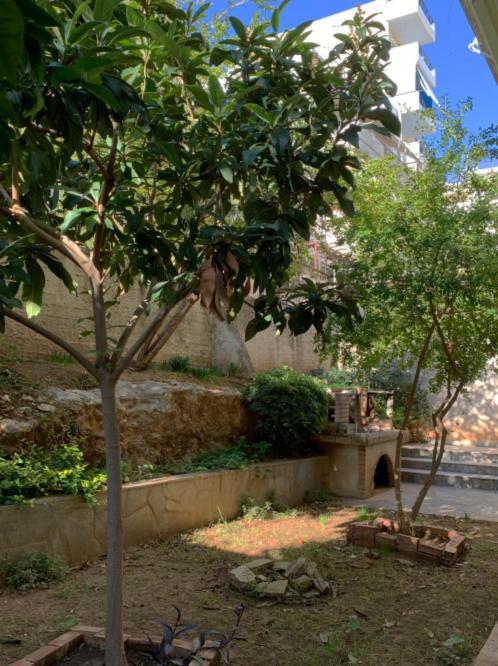 Zoe'S Apartment Bright&Cozy Athens Exterior photo